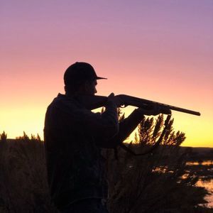 Meet your Posher, Race